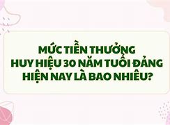 40 Năm Tuổi Đảng Được Bảo Nhiêu Tiền Thưởng Không Ạ