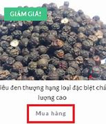 Giá Hạt Tiêu Đen Ngày Hôm Nay